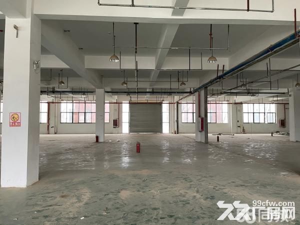 商丘青网科技园厂房招租-图4