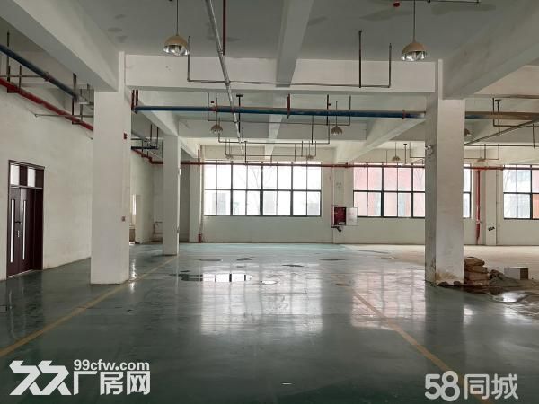 商丘青网科技园厂房招租-图5