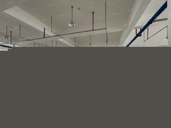 出租 仓库 厂房政府园区 大平层 停车方便