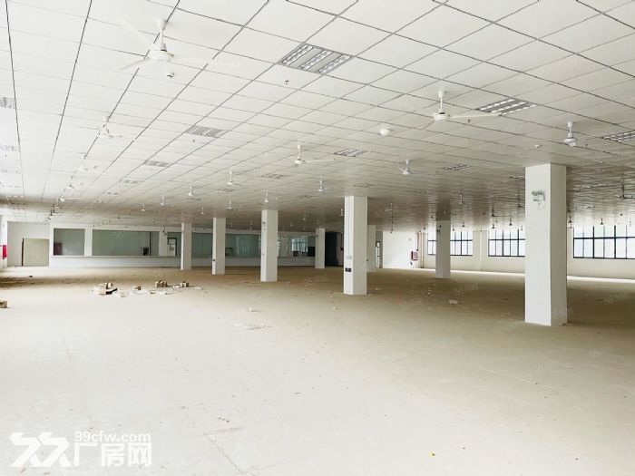 出租 仓库 厂房政府园区 大平层 停车方便-图3