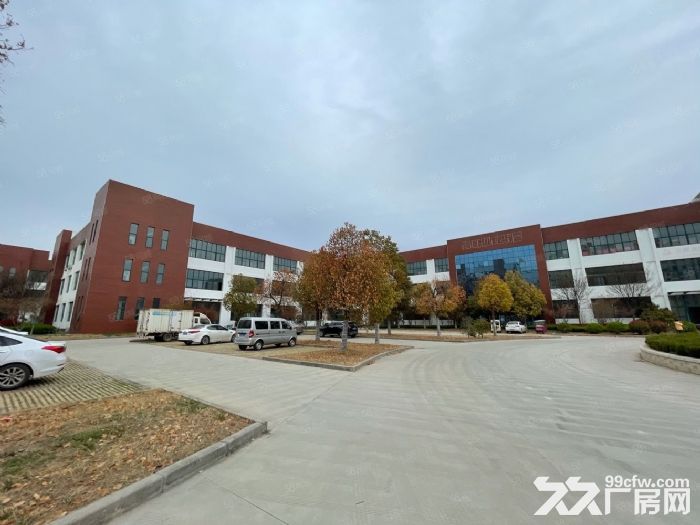 出租 仓库 厂房政府园区 大平层 停车方便-图5