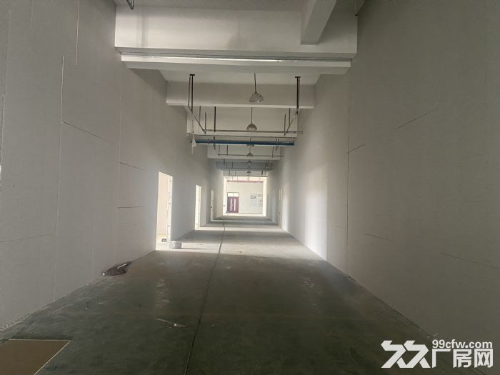 出租 仓库 厂房政府园区 大平层 停车方便-图7
