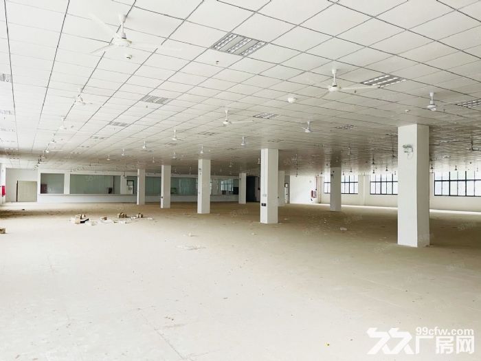 政府厂房对外招商，房租减免