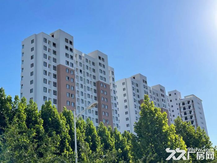 出租厂房 政府产权 政策优惠 配套齐全 园区环境优美-图6