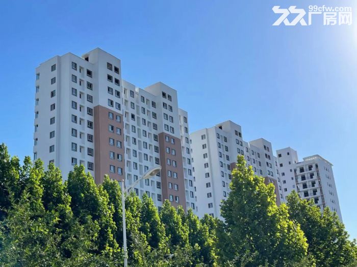 出租政府规划园区 厂房 仓库 配套齐全 政策优惠 产业集聚带动发展-图7