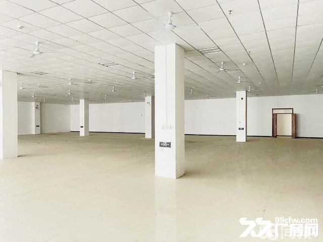 政府园区招商 最高免租金2年-图4