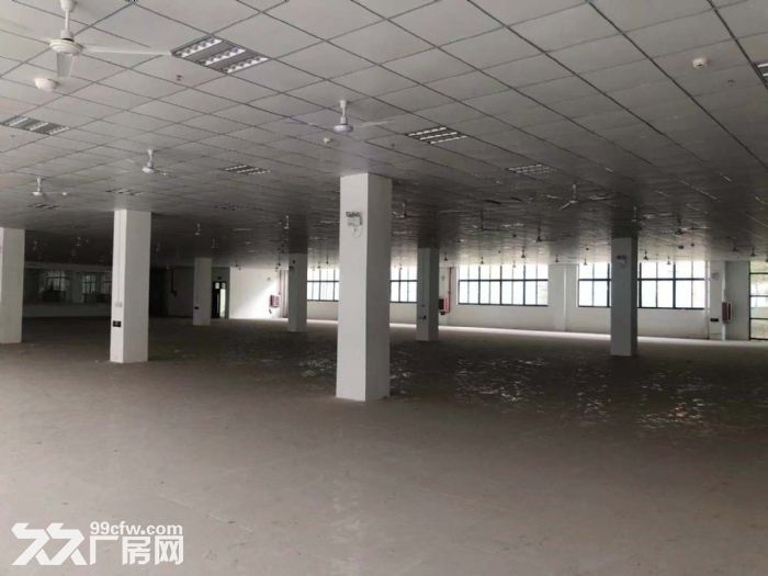 政府产权厂房 500−6000平可分割 消防过关  无噪音无污染都可