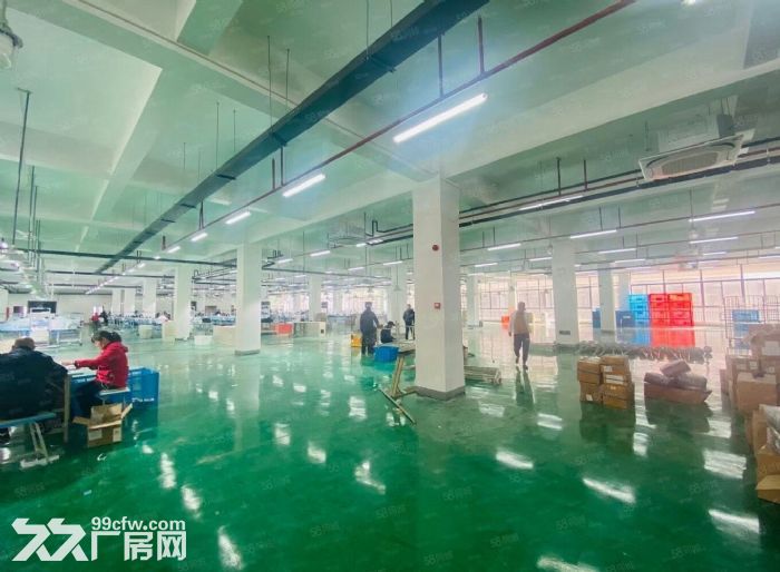 政府产权厂房 500−6000平可分割 消防过关  无噪音无污染都可-图7